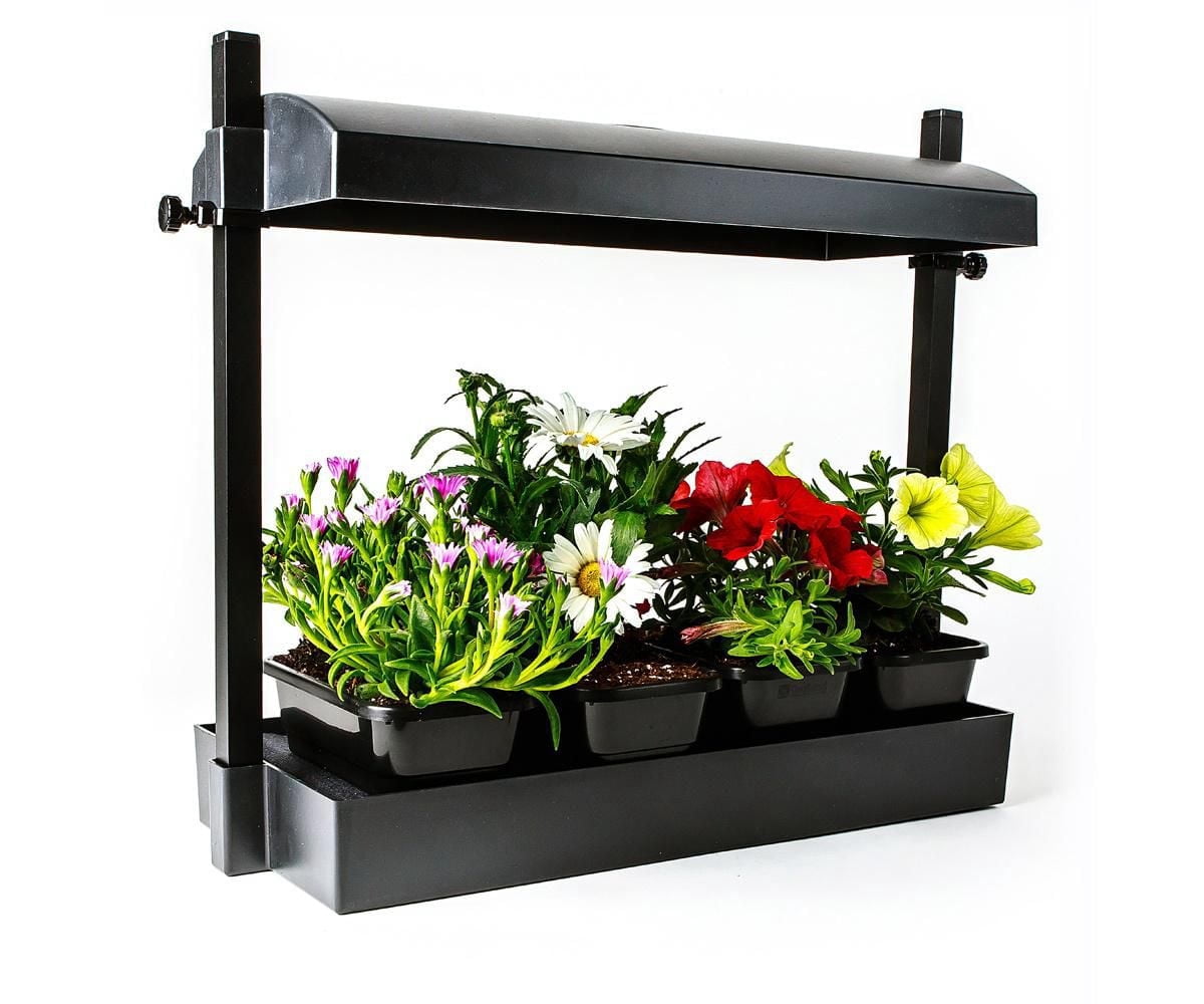 Sunblaster Growlight Jardin Micro - Noir - LED