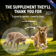 thumbnail image 2 of Green Lipped Mussel for Dogs – 100% Pure New Zealand Hip & Joint Supplement for Dogs, 2 of 13