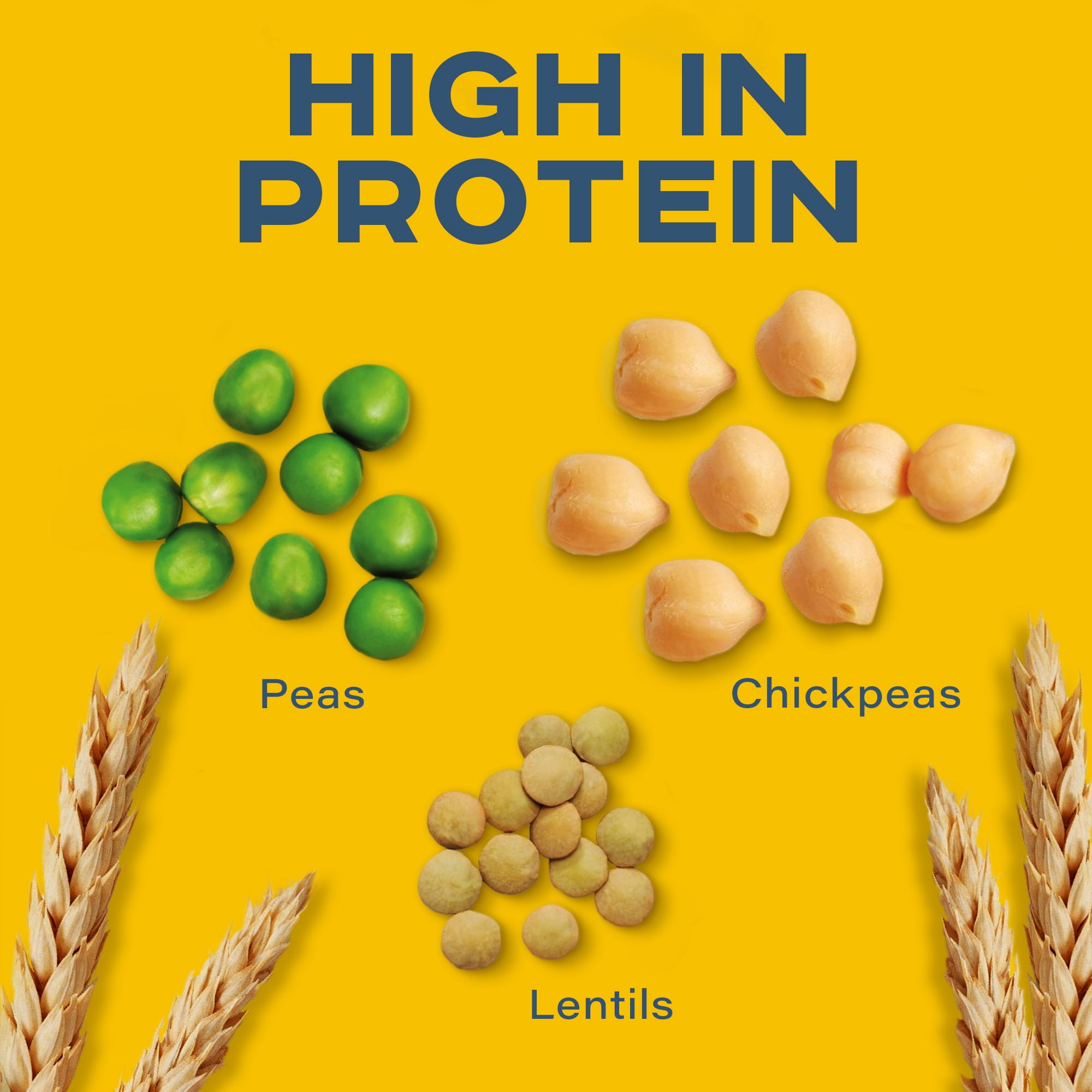 Pâtes Coudes Catelli® Protéines+™, riches en protéines, 340 g