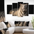 thumbnail image 3 of Design Art White Bengal Tiger on Black Canvas Print, 3 of 3