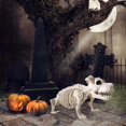 thumbnail image 5 of Halloween Skeleton Dog Prop Animal Bones Party Shop Decoration Horror, 5 of 5