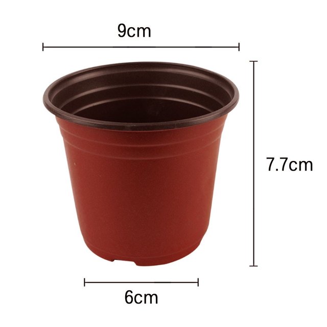 Pompotops 100 Pcs Pot de Démarrage de Semences Conteneur de Plantes pour Succulentes Semis Liquidation
