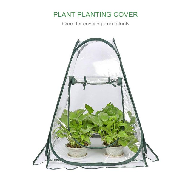 Tente d'Hiver Transparente de Couverture de Serre Domestique de Niveau Mini de Jardin PVC Chaud