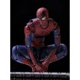thumbnail image 2 of Amazing Spider Andrew  Movable Action Figure Model Replaceable Box Set, 2 of 9