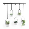 thumbnail image 4 of Umbra Triflora Hanging Planter, Set of 5, 4 of 6