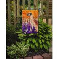 thumbnail image 2 of Carolines Treasures CK3218GF Hallween Great Dane Drapeau de Jardin, 2 of 3