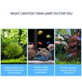 thumbnail image 3 of yeacher Adjustable LED Aquarium Light for Small to Medium Fish Tanks, 60cm, Energy-Efficient with Color & Brightness Control, US Standard, 3 of 6