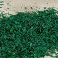 thumbnail image 3 of Baohd Modèle Statique de Chemin de Fer Feuille Miniature 33ml Diorama pour Ornements Vert A, 3 of 9