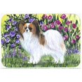 thumbnail image 1 of Carolines Treasures SS8153MP Papillon Tapis de Souris - Tapis Chaud & Trivet, 1 of 1