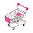 thumbnail image 1 of Jouets de Simulation Mini Chariot de Magasinage pour Bébés et Enfants, Chariot à Main, Panier de Rangement de Supermarché, Chariot Jouet, 1 of 3