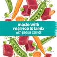 thumbnail image 4 of Beneful Prepared Meals Savoury Rice & Lamb Stew, Wet Dog Food 283 g, 4 of 10