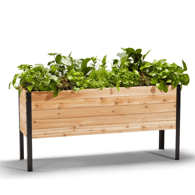 Jardin Surélevé 18 Pouces x 60 Pouces - 30 Pouces de Hauteur
