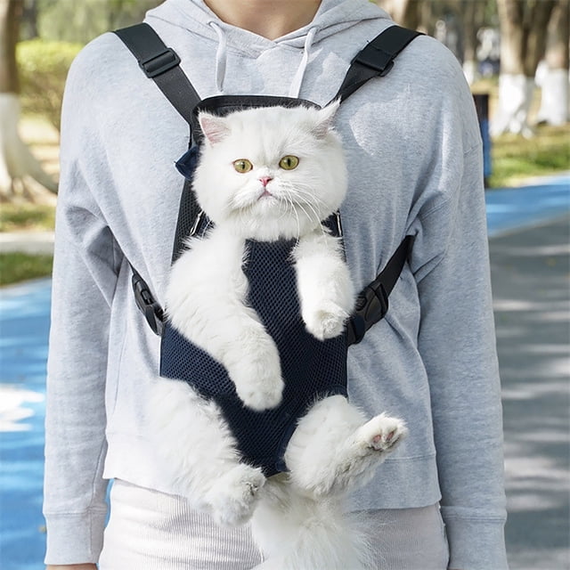Pet Backpack Carrier, Mesh Ventilation, Outdoor Travel, Two-Shoulder Ergonomic Design, Transparent Visual Window, Secure Storage Pockets, Durable Construction for Daily Use