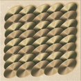 thumbnail image 1 of Ahgly Company Tapis d'Intérieur Lavable en Machine Carré Transitionnel Chêne Brun, 7 Pieds Carré, 1 of 7