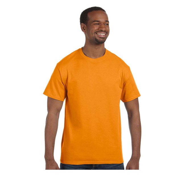 Hanes Tagless Short Sleeve T-Shirt, Style 5250