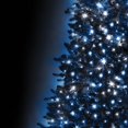 thumbnail image 4 of Danson Décor 500CT Lumière DEL, Bleu/ Blanc Pur, 4 of 4