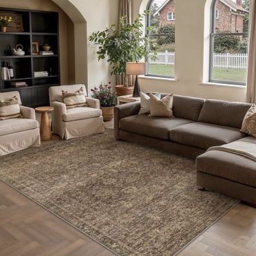 BERTHMEER 6'x9' Washable Area Rugs for Living Room Bedroom Kitchen Rugs Non Slip Blue Vintage Traditional Dorm Office Dining Room Farmhouse Oriental Distressed Rugs, Brown