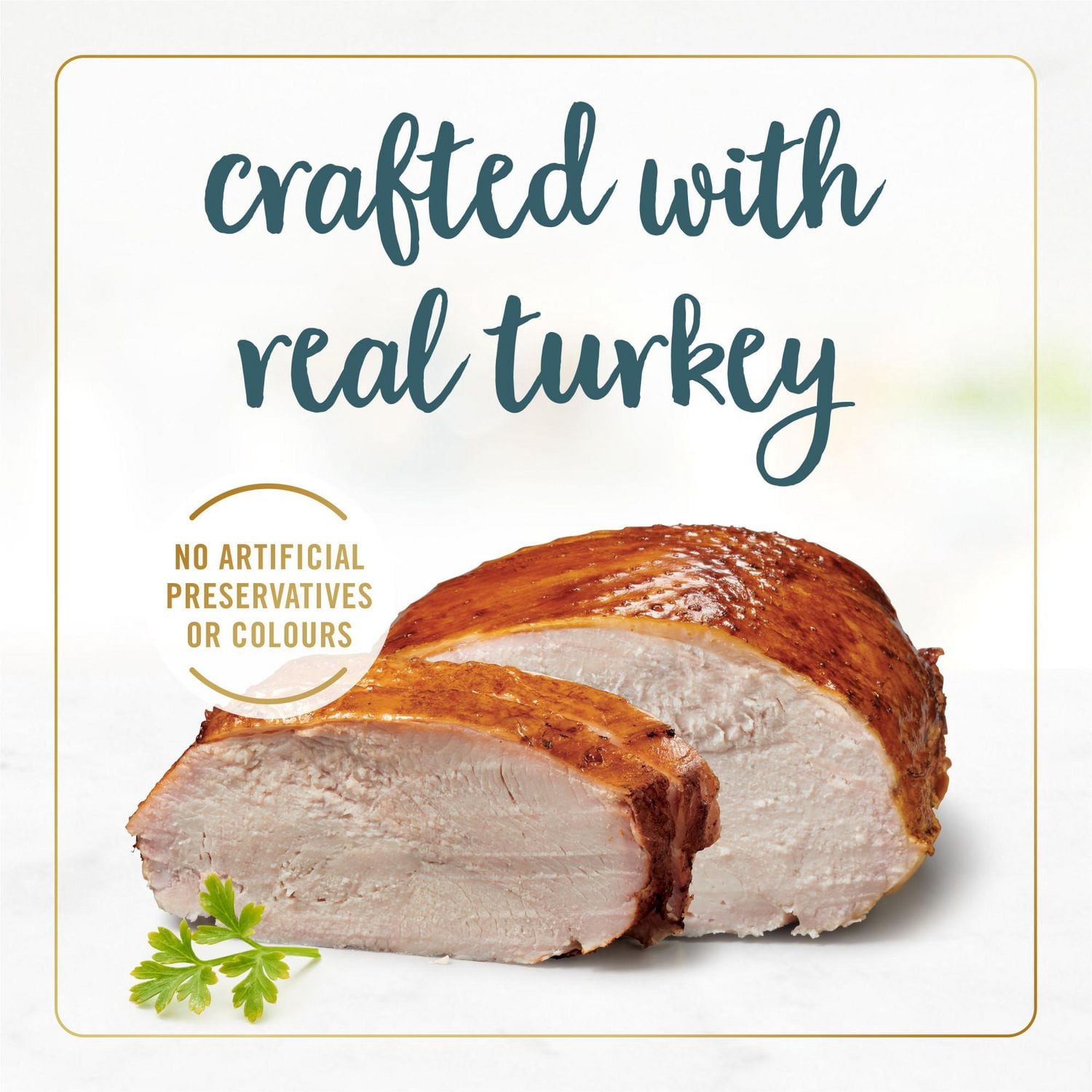 Fancy Feast Gravy Lovers Turkey Feast in Roasted Turkey Flavour Gravy, Wet Cat Food 85g