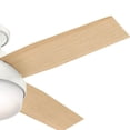 thumbnail image 4 of Hunter 44 Inch Dempsey Low Profile Fresh White Ceiling Fan with Light & Remote, 4 of 5