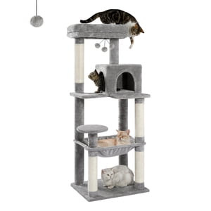 PAWZ Road 56.3" Arbre de chat multi-niveaux pour grande tour de chat de race intérieure avec 2 Porte Condo Grey