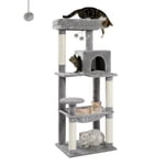 PAWZ Road 56.3" Arbre de chat multi-niveaux pour grande tour de chat de race intérieure avec 2 Porte Condo Grey