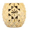 thumbnail image 1 of Pot de fleur en forme d’ananas, 1 of 4