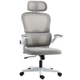 thumbnail image 1 of HOMCOM Ergonomic Office Chair, Mesh Desk Chair with Lumbar Support, Grey, 1 of 10