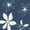 Fleurs bleu marine et blanches, variante sur Poussette-canne de Bily