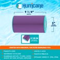 thumbnail image 3 of Hurricane Filtres HF4335-01P Cartouche de Filtre de Spa Platinum Violet, 3 of 7