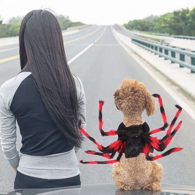 OULII 1Pc Pet Spider Costumes Black and Red Costume for Dogs and Cats