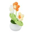 thumbnail image 4 of Bgsha Handwoven Wool Crochet Puff Flower Pot: A Timeless,Low-maintenance Home Decor!, 4 of 10