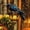 A_Base#213983, variant on Gothic Crow Lantern Suncatcher - Stained Glass Window Decor with Blue & Black Artistry for Home Ambiance