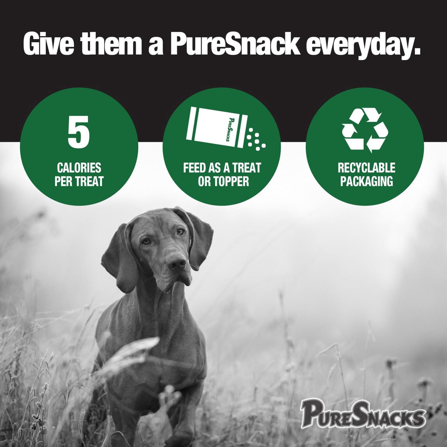 PureSnacks gâteries séchées à froid de foie de boeuf pour chien