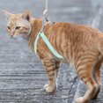 thumbnail image 2 of WASHWEPE 1 Set Cat Leash and Harness Rust-Proof Metal One-Hand Operation for Cat Walking Harness Leash, 2 of 8