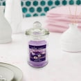 thumbnail image 3 of RXIRUCGD 1pc 90g Transparent Soy Wax Scented Candle In Clear Glass Jar, Suitable For Home Decoration And Romantic Gift, 3 of 4