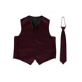 thumbnail image 1 of Gilet à Boutons Omega + Cravate Assortie - Rouge Vin/noir - Petit, 1 of 1