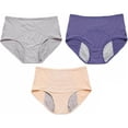 thumbnail image 1 of Women's 3PC Solid Mesh High Waist Leak Proof Menstrual Pants Set - Nylon Spandex, Multipack for Period Protection, 1 of 2