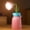 Pink#3, variant on Unique Wireless Flower Desk Lamp with Flexible Gooseneck, Rechargeable LED Lamp with USB Charging Port, 3 Color Modes and Stepless Dimming for Office Decor