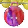 thumbnail image 1 of Active Physical Development Bouncy Balls For Kids Fuzz Ball Flower Power Balance Ability Through Energetic Bouncing red purple, 1 of 6
