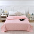thumbnail image 1 of TIMIFIS Airconditioned Quilt Skin-Friendly Plain Printed Washed Cotton Summer Quilt Ventilation Quilt Beding Set, 1 of 7