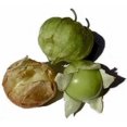 thumbnail image 4 of 200 Grandes Graines de TOMATILLO Vert Rio VERDE Physalis Ixoxcarpa Légumes, 4 of 5