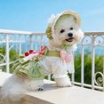 thumbnail image 3 of 2 Pcs Floral Dress Lace Sunhat Soft Breathable with Snap Button Leash Hook for Dogs Cats Birthday Party Travel, 3 of 7
