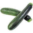thumbnail image 1 of 50 BLACK BEAUTY ZUCCHINI Summer Squash Cucurbita Pepo Vegetable Seeds, 1 of 5