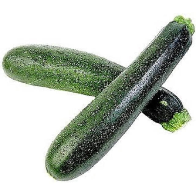 50 Black Beauty Zucchini Summer Squash Cucurbita Pepo vegetable seeds. The image features two glossy dark green zucchinis, approximately 6-8 inches long and 2 inches in diameter, with firm, creamy white flesh. Perfect for vegetable gardening, these seeds grow semi-upright plants that reach 18-24 inches tall and attract bees, birds, and butterflies. Suitable for planting outdoors after frost or indoors weeks before the last frost.