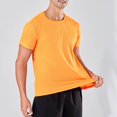 thumbnail image 1 of Compression Shirts for Men Quick Drying Summer Gym Shirts Breathable Stretchy Short Sleeve Crew Neck Basic T-Shirts for Activewear, 1 of 7
