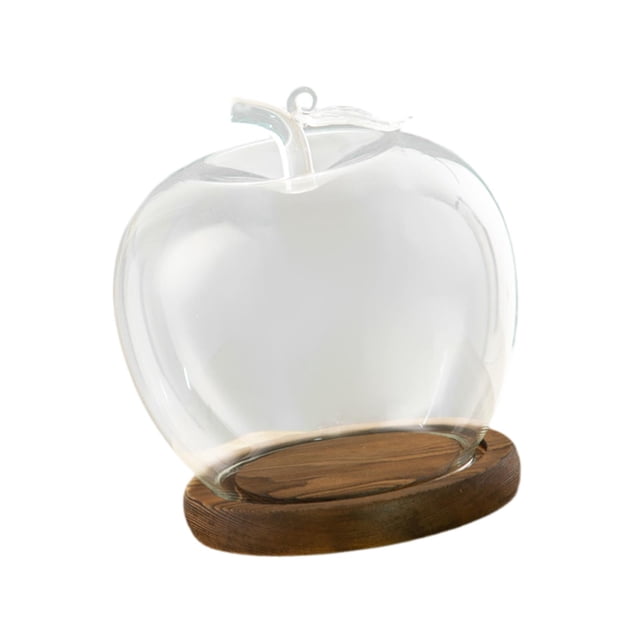 simhoa Clear Glass Dome Jar Empty Display for Collectibles Keepsakes Tabletop Shelf Coffee