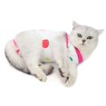 thumbnail image 3 of Chirurgie d'Été pour la Stérilisation des Chats après la Récupération pour Chats, 3 of 7