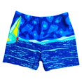 thumbnail image 2 of AMERTEER Man Shorts Loose Plus Size Polyester Flat Corner Printed Beach Shorts for Spa, 2 of 10