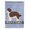 thumbnail image 1 of Carolines Treasures CK3746GF Havapoo No.1 Welcome Garden Size Flag, 1 of 3