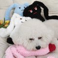 thumbnail image 5 of Long Ears Rabbit Dog Squeaker Toys With Crinkle Paper Stuffed Interactive Chew Bunny Toy, 5 of 5
